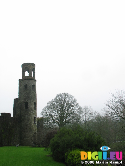 24860_D Lookout Tower Blarney Castle